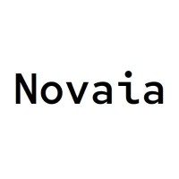 Novaia Computing logo - Similar company to Novaia