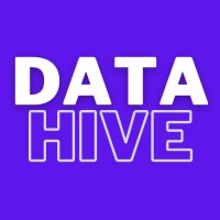 DataHive Solutions logo - Similar company to Datahive