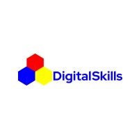 DigitalSkills Chad logo - Similar company to Digitalskills Consulting