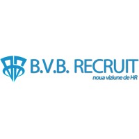 BVB Recruit logo - Similar company to Bvb Pro
