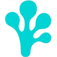 bluefrog pharma GmbH logo - Similar company to Ygea Srl