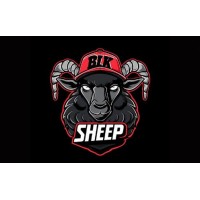 Blksheep The Agency