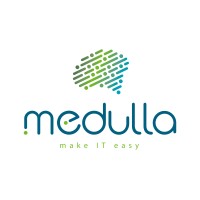Medulla logo - Similar company to Macurial