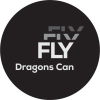 DragonsCanFly logo - Similar company to Change Starters
