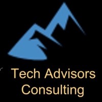 Tech Advisors Consulting, LLC logo - Similar company to Beacon Source It