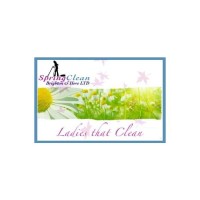 Spring Clean logo - Similar company to Facility Works