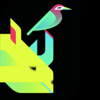 Rhinobird.tv logo - Similar company to Proasset