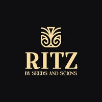 Ritz By Seeds & Scions