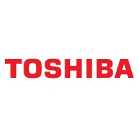 Toshiba Turkiye Workplace Solutions logo - Similar company to Rely Print System Llp