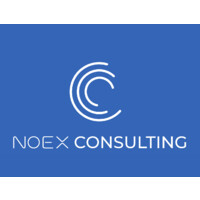 Noex Consulting logo - Similar company to Creatox Designs - Branding & Marketing Agency