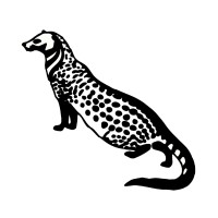 Centre for Wildlife Studies logo - Similar company to Snow Leopard Network