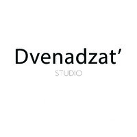 Dvenadzat Studio logo - Similar company to Aurélien Romain Photography