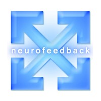 Chicago Mind Solutions logo - Similar company to The Nvld Project
