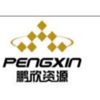 PENGXIN SOUTH AFRICA MINING INVESTMENT MANAGEMENT logo - Similar company to Stavic Ltda.