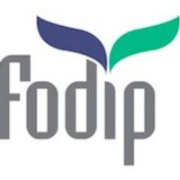 THE FORUM FOR DISCUSSION OF ISRAEL AND PALESTINE (FODIP) logo - Similar company to Sapan News