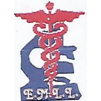 EFFECTIVE MEDICAL LABORATORIES LIMITED logo - Similar company to Fiscora Tech Consulting Services Ltd
