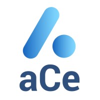ACE - Automated Customs Entry logo - Similar company to Gpl Customs Services