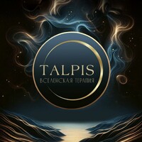 TALPIS logo - Similar company to Точка Сборки