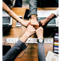 Pasternak Personal GmbH logo - Similar company to Morano Gruppo