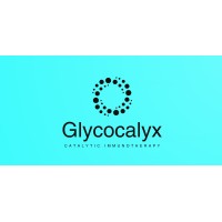 Glycocalyx Therapeutics AG logo - Similar company to B Squared