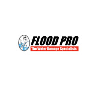 Flood Pro logo - Similar company to Enviro Diagnostics