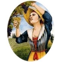 Cantina La Colona Srl logo - Similar company to Cantina Errante