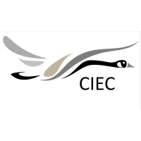 Canadian International Energy Corp logo - Similar company to Avalon Oil, Plc.