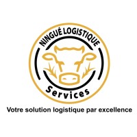 Ningue Logistique Services (NLS) logo - Similar company to Gds Afrique