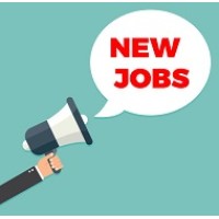 UAE Job Advisor logo - Similar company to Yabob Project Management Services