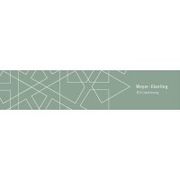 Thomas Weyer-Eberling, Edv Optimierung