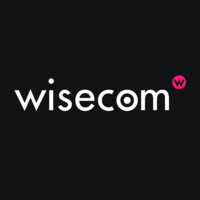 WISECOM logo - Similar company to Wisecom Spa