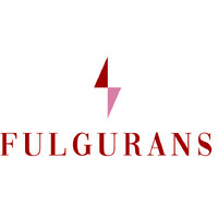 FULGURANS Executive Coaching & Outplacement logo - Similar company to Let Yourself Be Yourself Coaching & Training