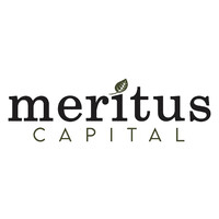 Meritus Capital - Payroll Funding For Staffing Agencies logo - Similar company to Cylorix