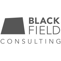 Blackfield Consulting - Kai Hasler logo - Similar company to Pharmbridge® Gmbh & Co. Kg