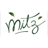 Mitz logo - Similar company to Menosduz