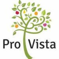 Pro Vista Strategies logo - Similar company to Brandecho Reports