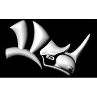 Digital Rhino Consulting logo - Similar company to Techjury Official