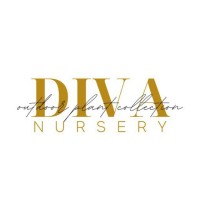 DIVA NURSERY logo - Similar company to Tapestry Design Studios