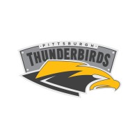 Pittsburgh Thunderbirds logo - Similar company to Piper Creative