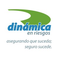 Dinámica en Riesgos S.C. logo - Similar company to Jd Estimating Construction
