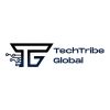 TechTribe Global logo - Similar company to Afrikan Stem Force