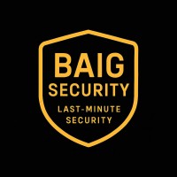 Baig Security logo - Similar company to Logixee