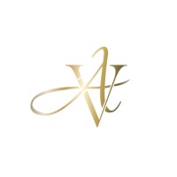 Vi-agency logo - Similar company to Sunrise Export Taskforce (Set)