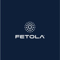 Fetola logo - Similar company to Boundless Consulting