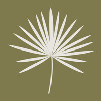 Palm Socials logo - Similar company to Studio Mait