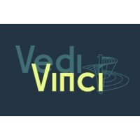 VediVinci logo - Similar company to Netsourcing