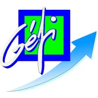 GEFI logo - Similar company to Blue Concept