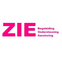 ZIE begeleiding ondersteuning aansturing
