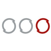 Schwarz IT Dienstleistungen logo - Similar company to Carlavia