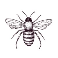 Nature HQ logo - Similar company to Arts & Travel